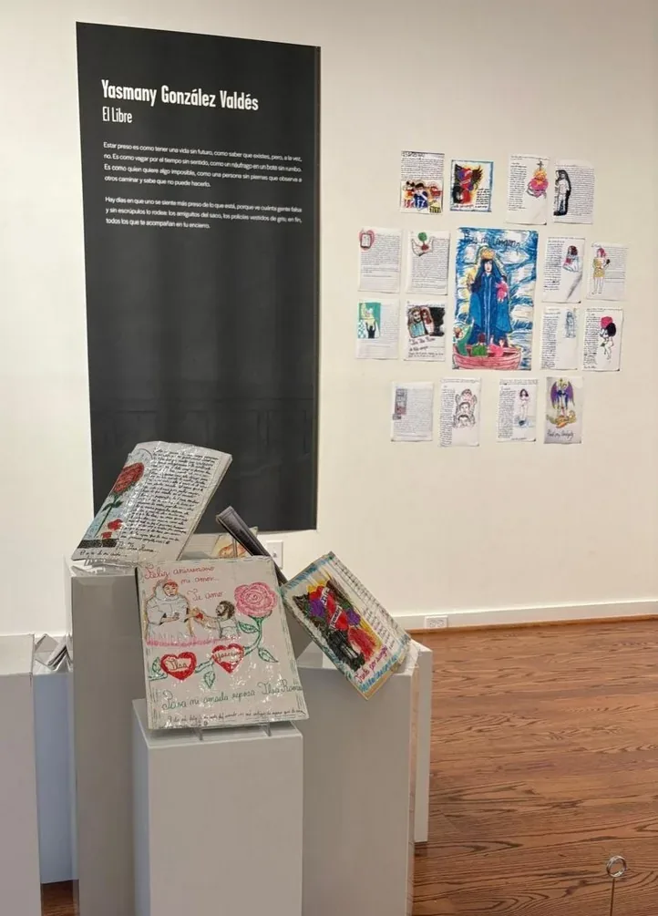 Cuadernos ilustrados 1